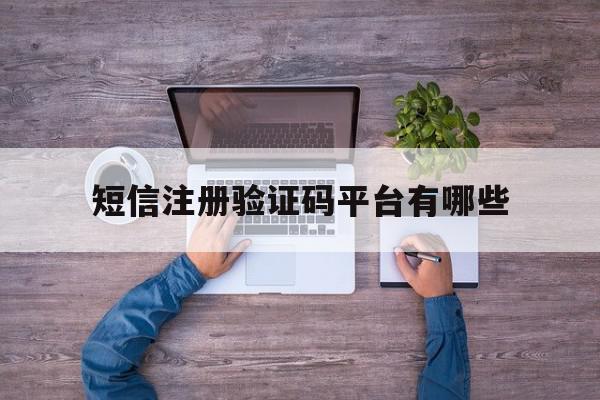 短信注册验证码平台有哪些 短信注册验证码平台有哪些
