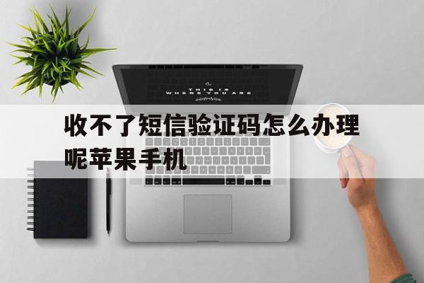 收不了短信验证码怎么办理呢苹果手机 收不了短信验证码怎么办理呢苹果手机