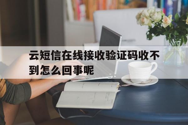 云短信在线接收验证码收不到怎么回事呢 云短信在线接收验证码收不到怎么回事呢
