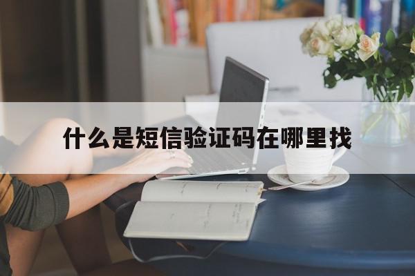 什么是短信验证码在哪里找 什么是短信验证码在哪里找
