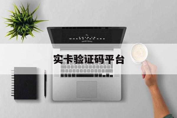 实卡验证码平台 实卡验证码平台
