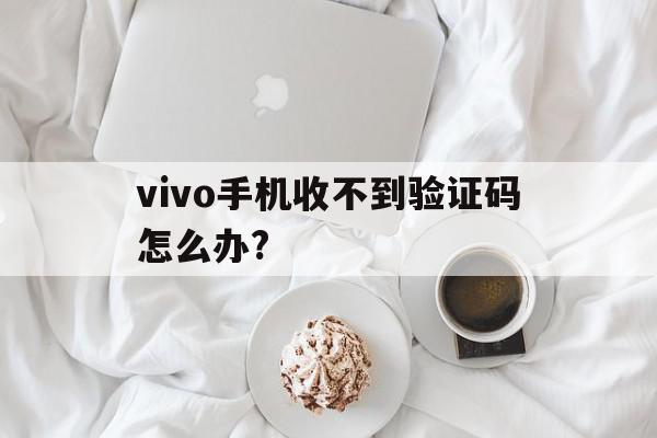 vivo手机收不到验证码怎么办? vivo手机收不到验证码怎么办?