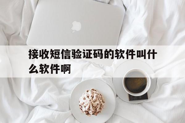 接收短信验证码的软件叫什么软件啊 接收短信验证码的软件叫什么软件啊