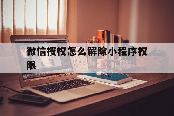 微信授权怎么解除小程序权限 微信授权怎么解除小程序权限