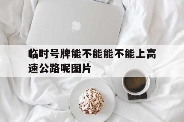 临时号牌能不能能不能上高速公路呢图片 临时号牌能不能能不能上高速公路呢图片