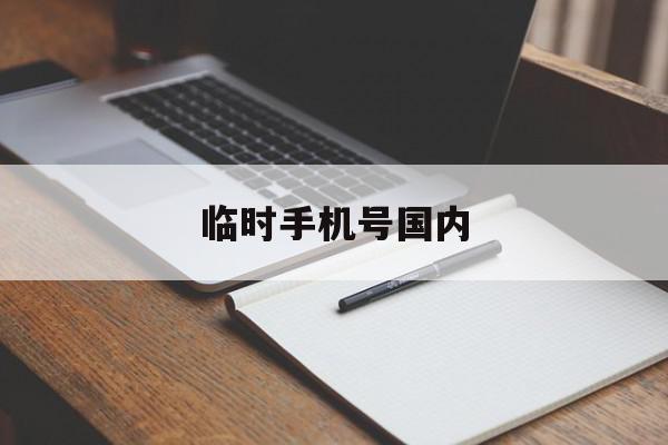临时手机号国内 临时手机号国内