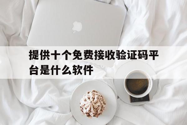 提供十个免费接收验证码平台是什么软件的简单介绍 提供十个免费接收验证码平台是什么软件的简单介绍