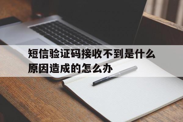 短信验证码接收不到是什么原因造成的怎么办 短信验证码接收不到是什么原因造成的怎么办