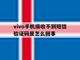 vivo手机接收不到短信验证码是怎么回事