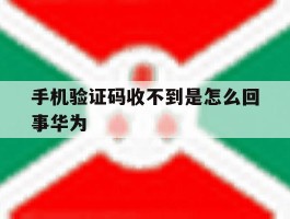 手机验证码收不到是怎么回事华为