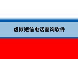虚拟短信电话查询软件