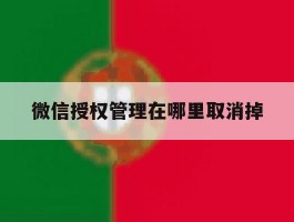 微信授权管理在哪里取消掉