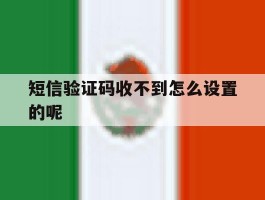 短信验证码收不到怎么设置的呢