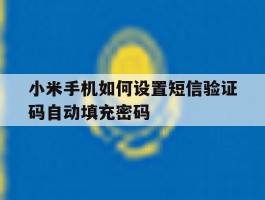包含小米手机如何设置短信验证码自动填充密码的词条