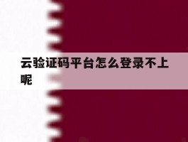 云验证码平台怎么登录不上呢