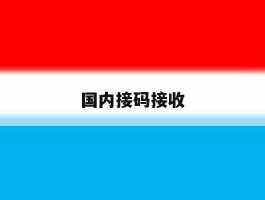 国内接码接收