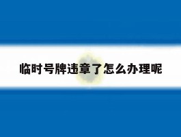 临时号牌违章了怎么办理呢