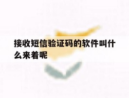 接收短信验证码的软件叫什么来着呢