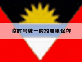 临时号牌一般放哪里保存
