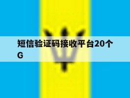 短信验证码接收平台20个G