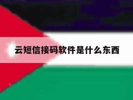云短信接码软件是什么东西