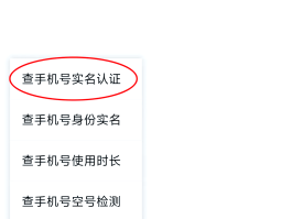 验证码平台的手机号是怎么弄的呢