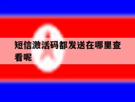 短信激活码都发送在哪里查看呢