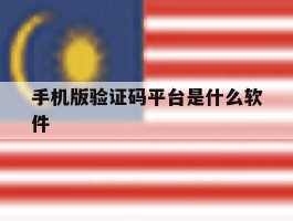 手机版验证码平台是什么软件