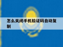 怎么关闭手机验证码自动复制