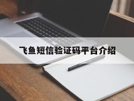 飞鱼短信验证码平台介绍