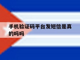 手机验证码平台发短信是真的吗吗