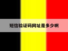 短信验证码网址是多少啊