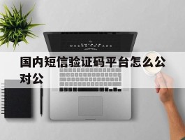 国内短信验证码平台怎么公对公的简单介绍