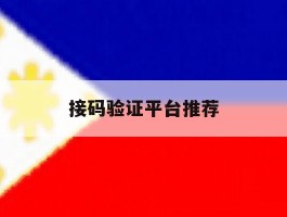 接码验证平台推荐