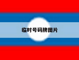 临时号码牌图片