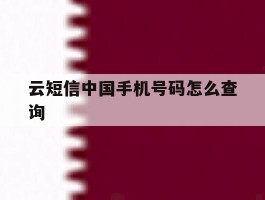 云短信中国手机号码怎么查询