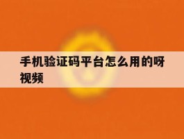 手机验证码平台怎么用的呀视频