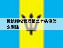 微信授权管理第二个头像怎么删除