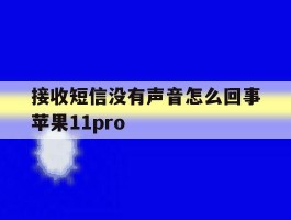 接收短信没有声音怎么回事苹果11pro的简单介绍