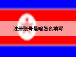 注册账号是啥怎么填写