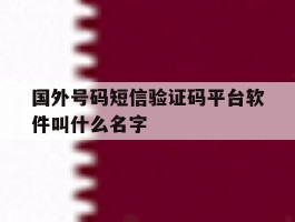 国外号码短信验证码平台软件叫什么名字的简单介绍