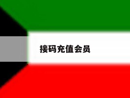 接码充值会员