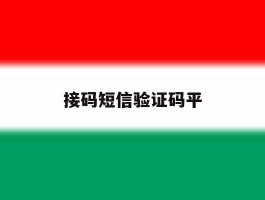 接码短信验证码平