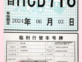 临时号牌张贴标准图片大全的简单介绍