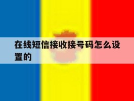 在线短信接收接号码怎么设置的