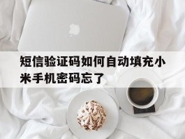 包含短信验证码如何自动填充小米手机密码忘了的词条