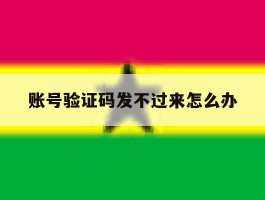 账号验证码发不过来怎么办