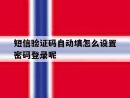短信验证码自动填怎么设置密码登录呢