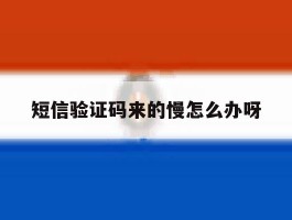 短信验证码来的慢怎么办呀