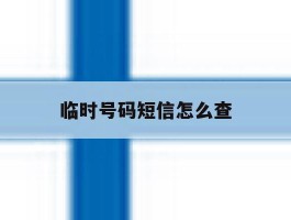 临时号码短信怎么查
